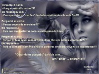 /album/galeria-de-fotos%3a-continua%c3%a7%c3%a3o/um-olhar-diferente-jpg/